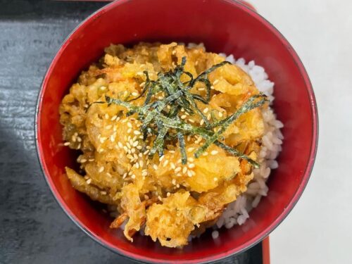 白河そば(牛込柳町)のミニかき揚げ丼