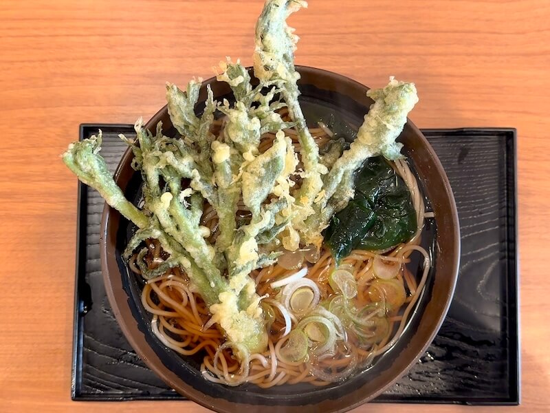 そば処おか田(小伝馬町)のタラの芽天そば