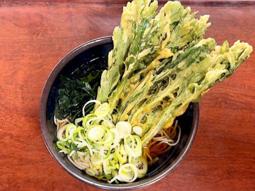 新田毎(秋葉原)の春菊天そば