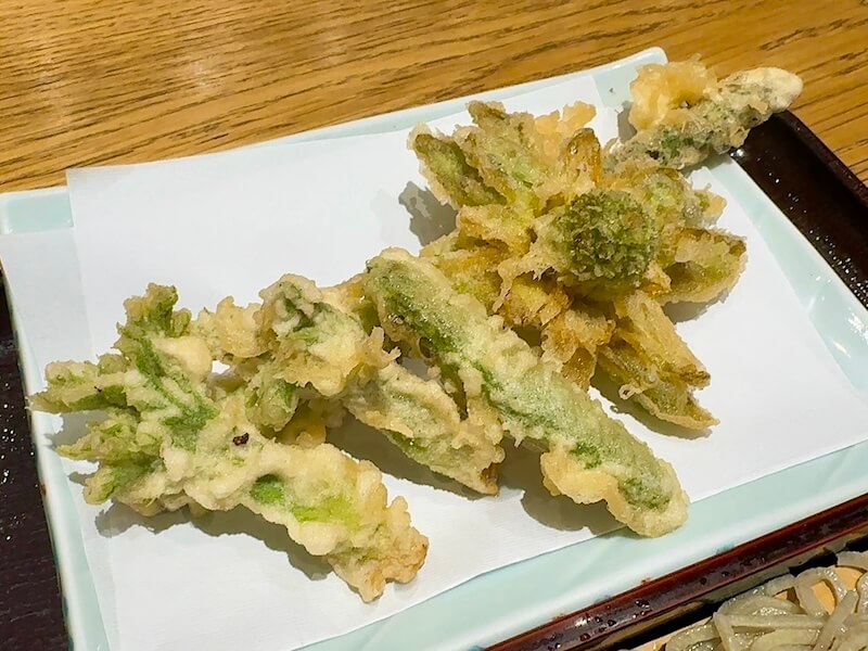 春の芽天は4種類